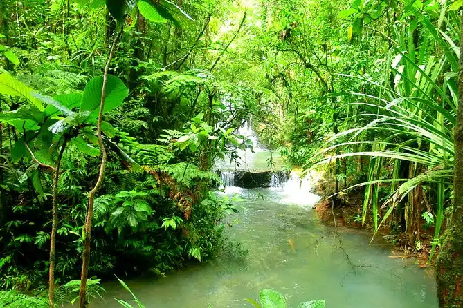 Suva Tours
